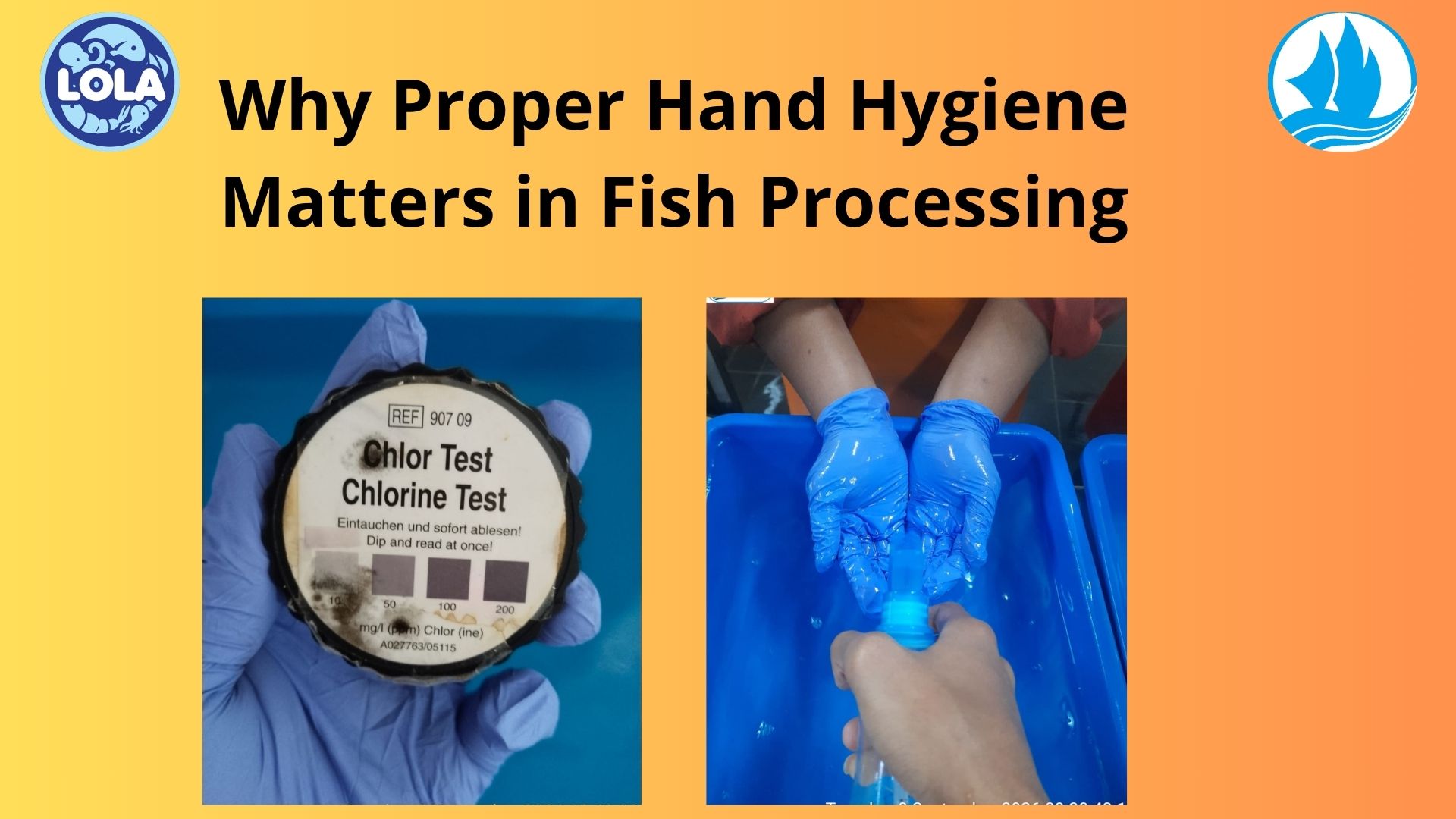  Why Proper Hand Hygiene Matters in Fish Processing